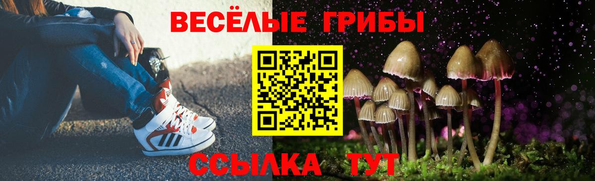 Псилоцибиновые грибы ЛСД  Галлюциногенные грибы Psilocybe  Вход с VPN  Саров 