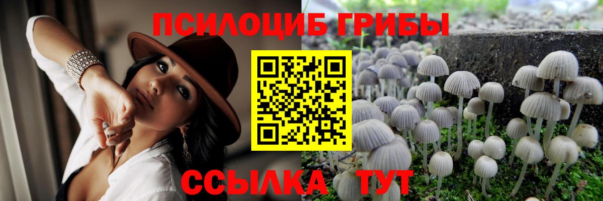 Псилоцибиновые грибы прущие грибы Саров